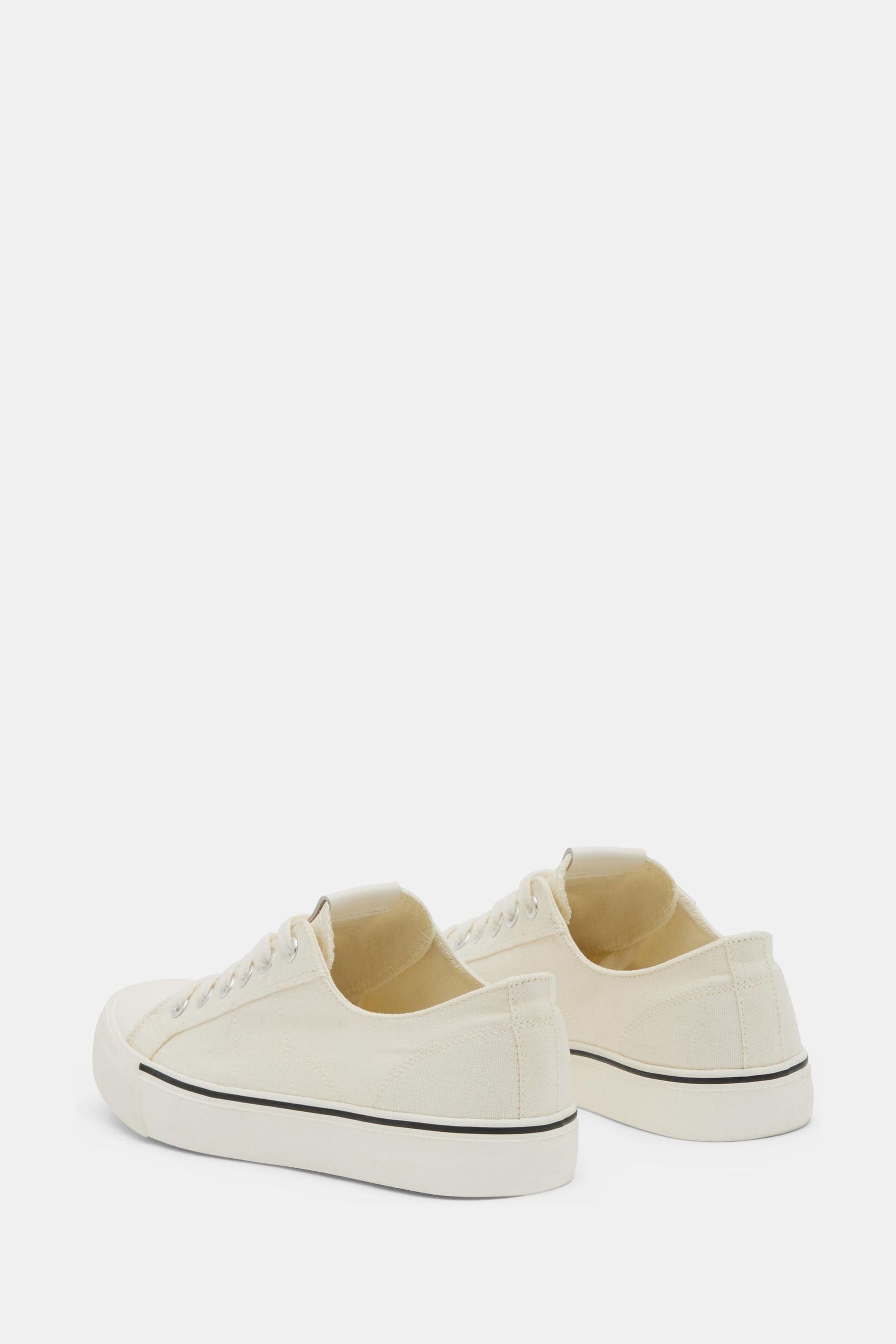 Buy Hush Cream Finley Canvas Trainers from Next Canada