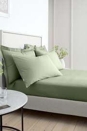 Bianca Sage Green 200 Thread Count Cotton Percale Deep Fitted Sheet - Image 3 of 4