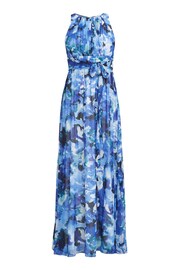 Gina Bacconi Blue Maria Maxi Printed Sleeveless Dress - Image 7 of 7