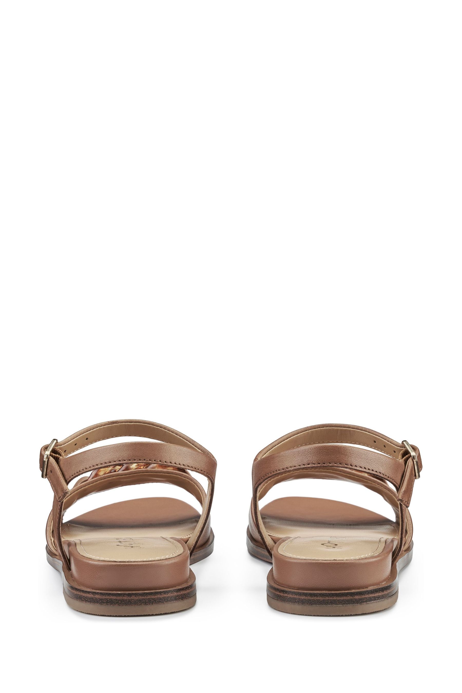 Buy Hotter Tan Brown Wide Fit Modena Buckle Sandals from Next France