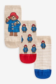 Navy/Red Paddington Bear Trainer Socks 3 Pack - Image 1 of 7