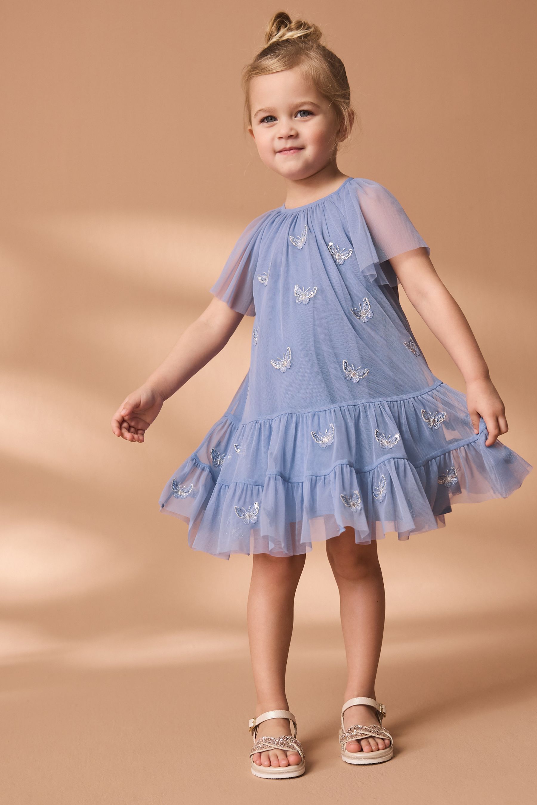Buy Blue Butterfly Mesh Dress 3mths 7yrs from the Next UK online shop