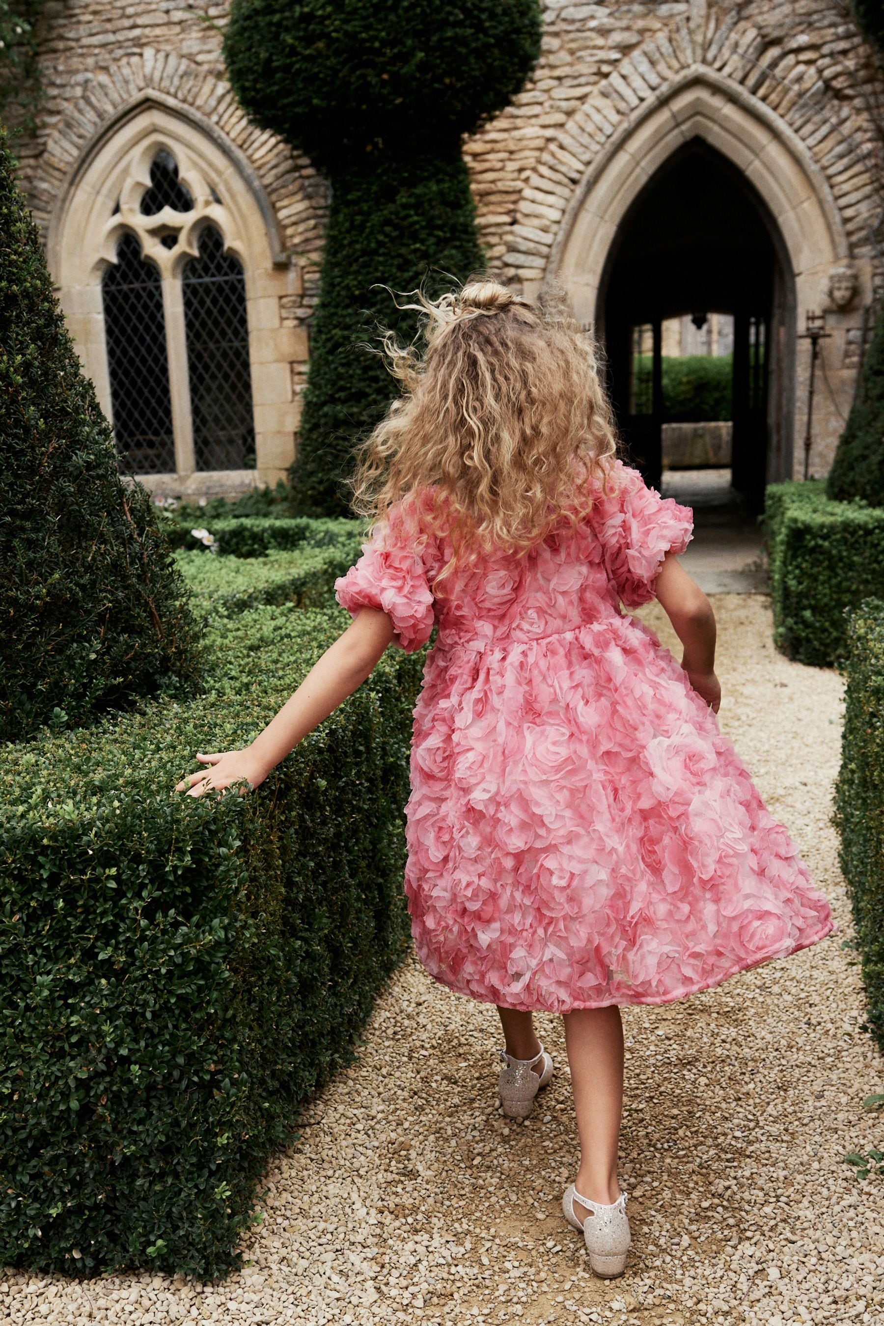 Buy Pink Rose 3D Floral Print Occasion Dress 3 16yrs from Next Luxembourg