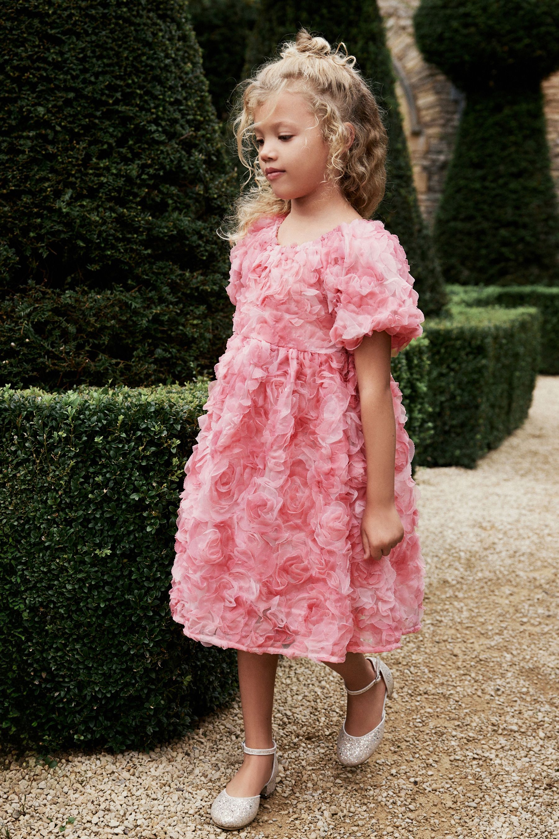 Buy Pink Rose 3D Floral Print Occasion Dress 3 16yrs from Next Luxembourg