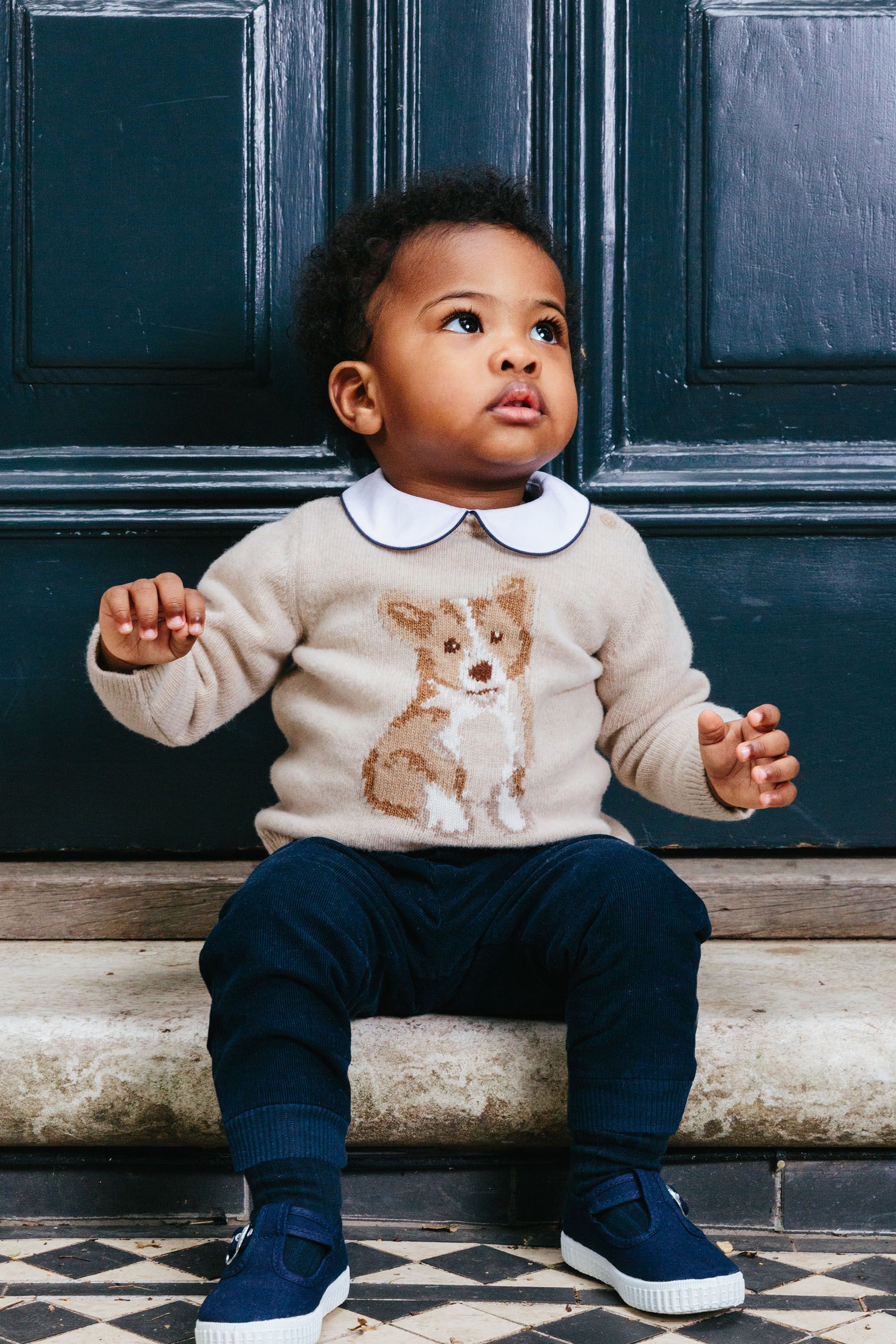 Corgi jumper shop