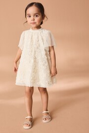 Cream Mesh Flower Dress (3mths-7yrs) - Image 1 of 7