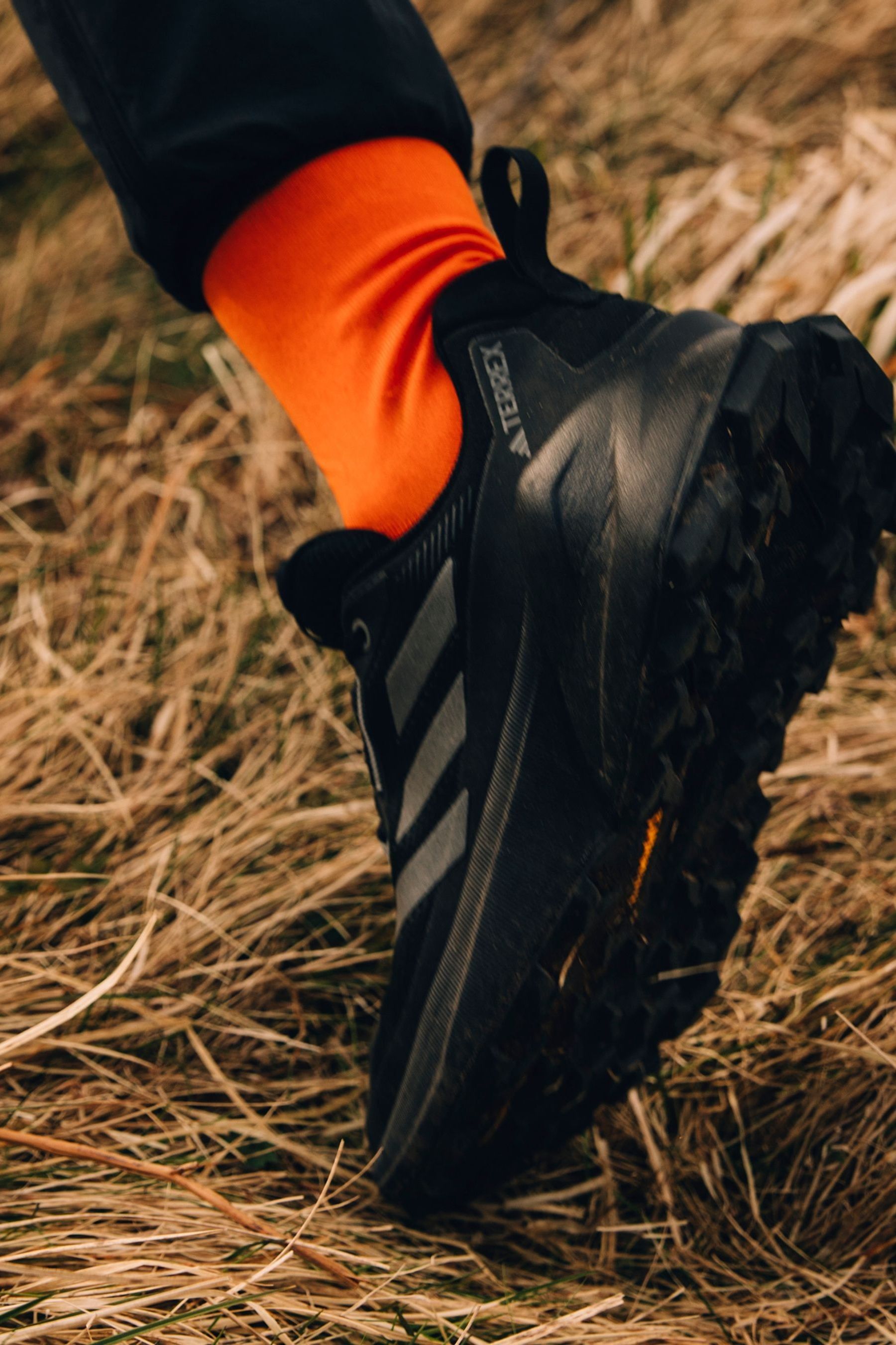 Adidas gore tex shoes online