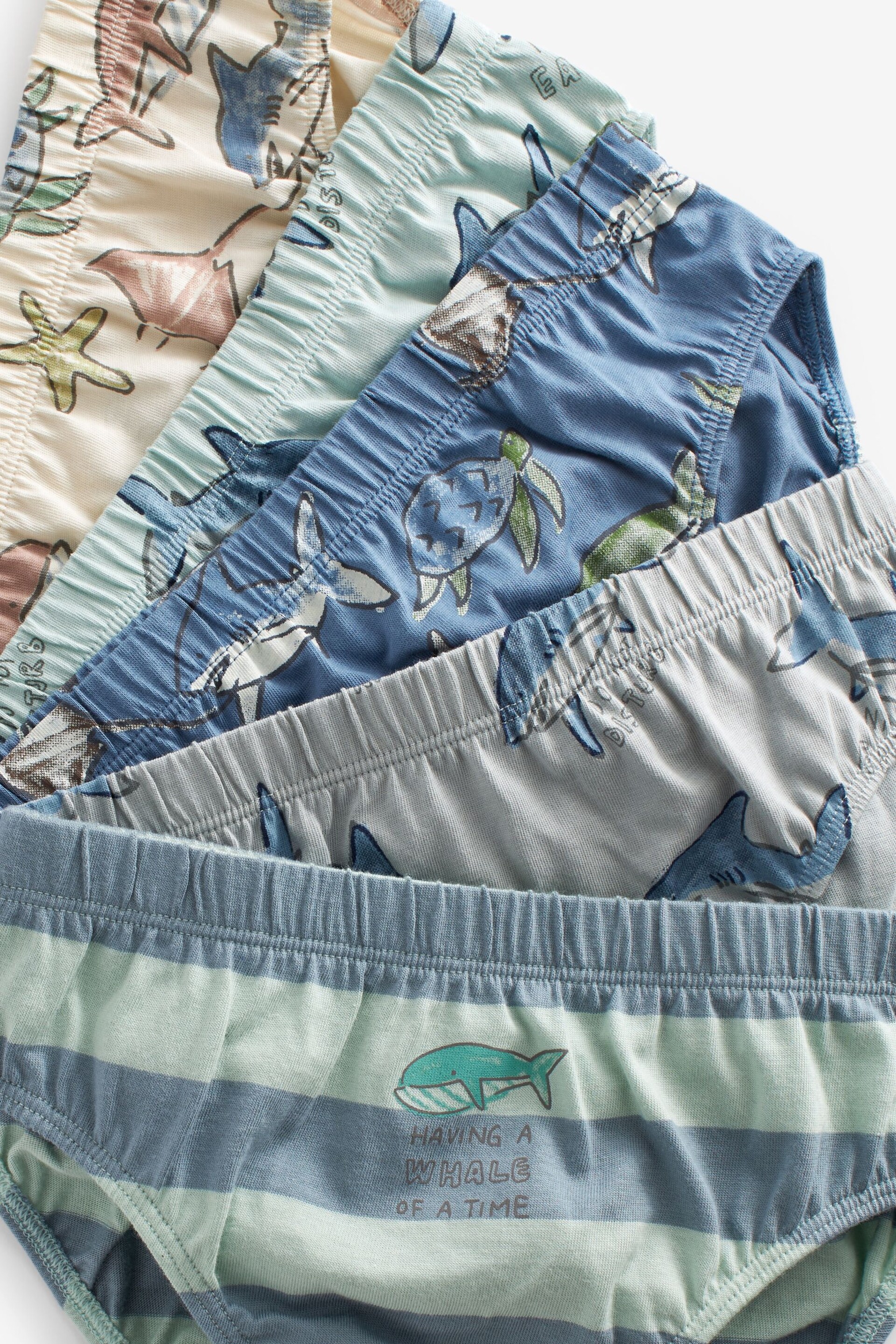 Shark Print Briefs 5 Pack (1.5-10yrs) - Image 3 of 3