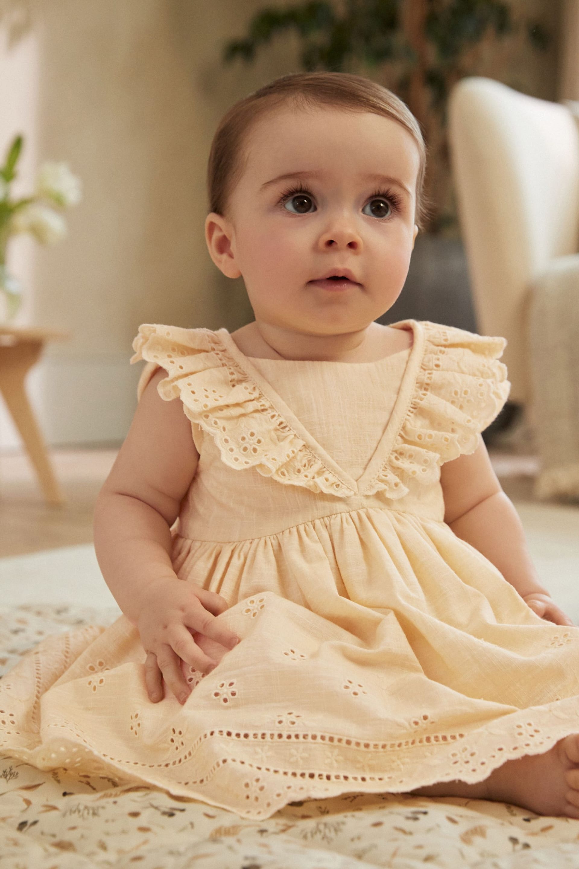 Yellow Baby Broderie Dress (0mths-2yrs) - Image 1 of 11