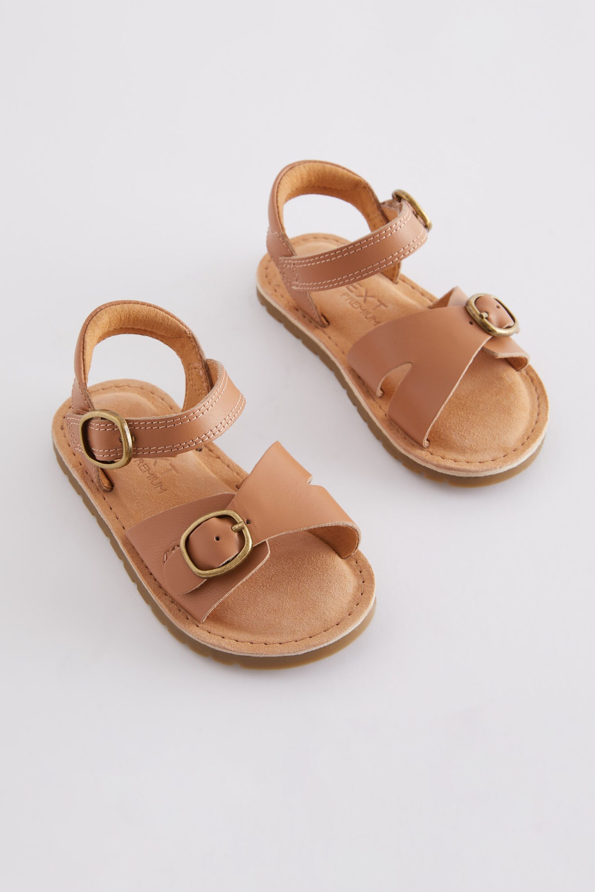 Brown Standard Fit (F) Leather Buckle Sandals - Image 1 of 5