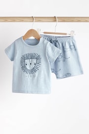 Teal Blue Lion Baby T-Shirt And Shorts 2 Piece Set - Image 1 of 13