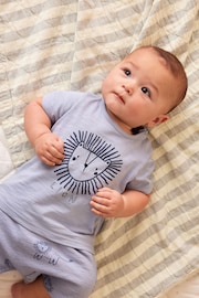 Teal Blue Lion Baby T-Shirt And Shorts 2 Piece Set - Image 3 of 13