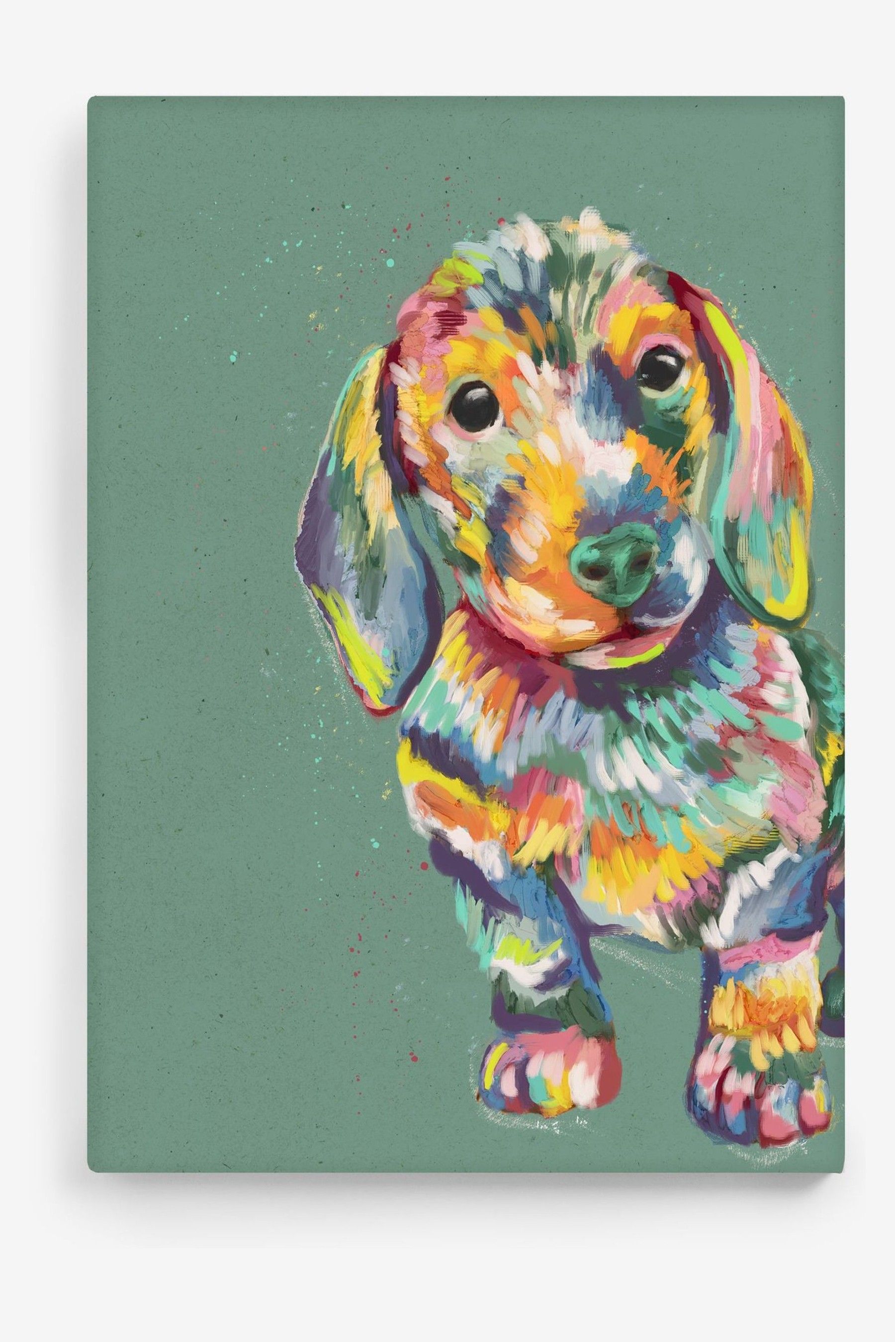 Buy Green Sausage Dog Canvas Wall Art from the Next UK online shop
