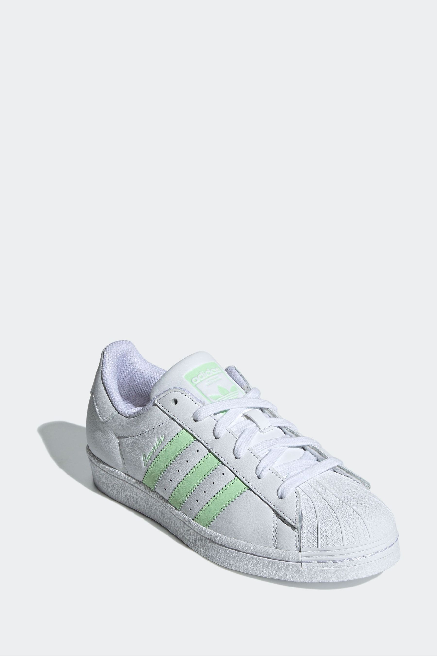 White superstar trainers online