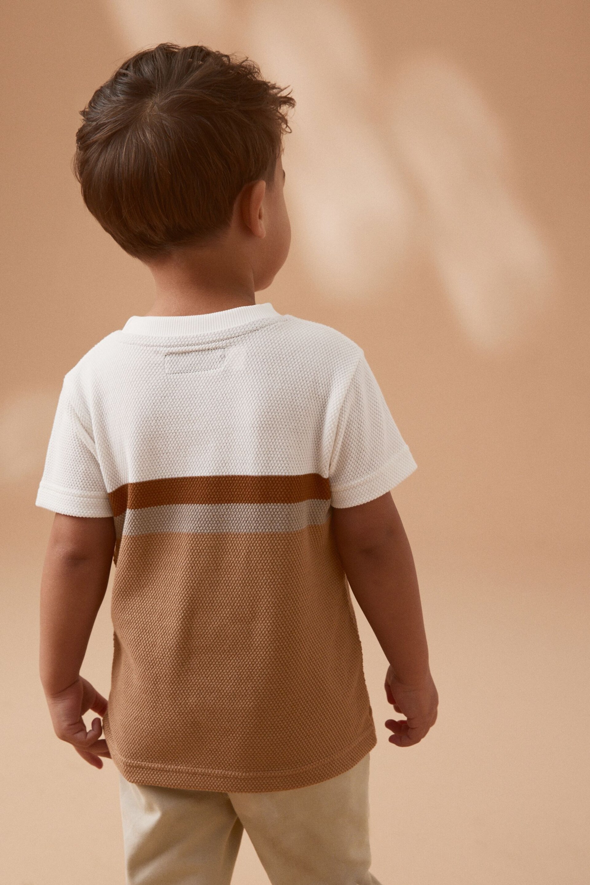 Tan Brown Short Sleeve Textured Stripe T-Shirt (3mths-7yrs) - Image 3 of 6