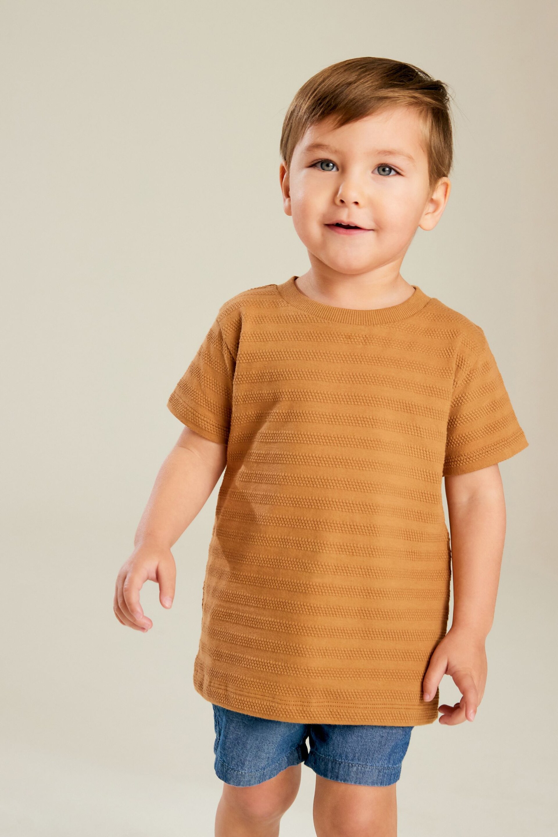 Blue/Tan Textured Short Sleeve T-Shirt 4 Pack (3mths-7yrs) - Image 2 of 9