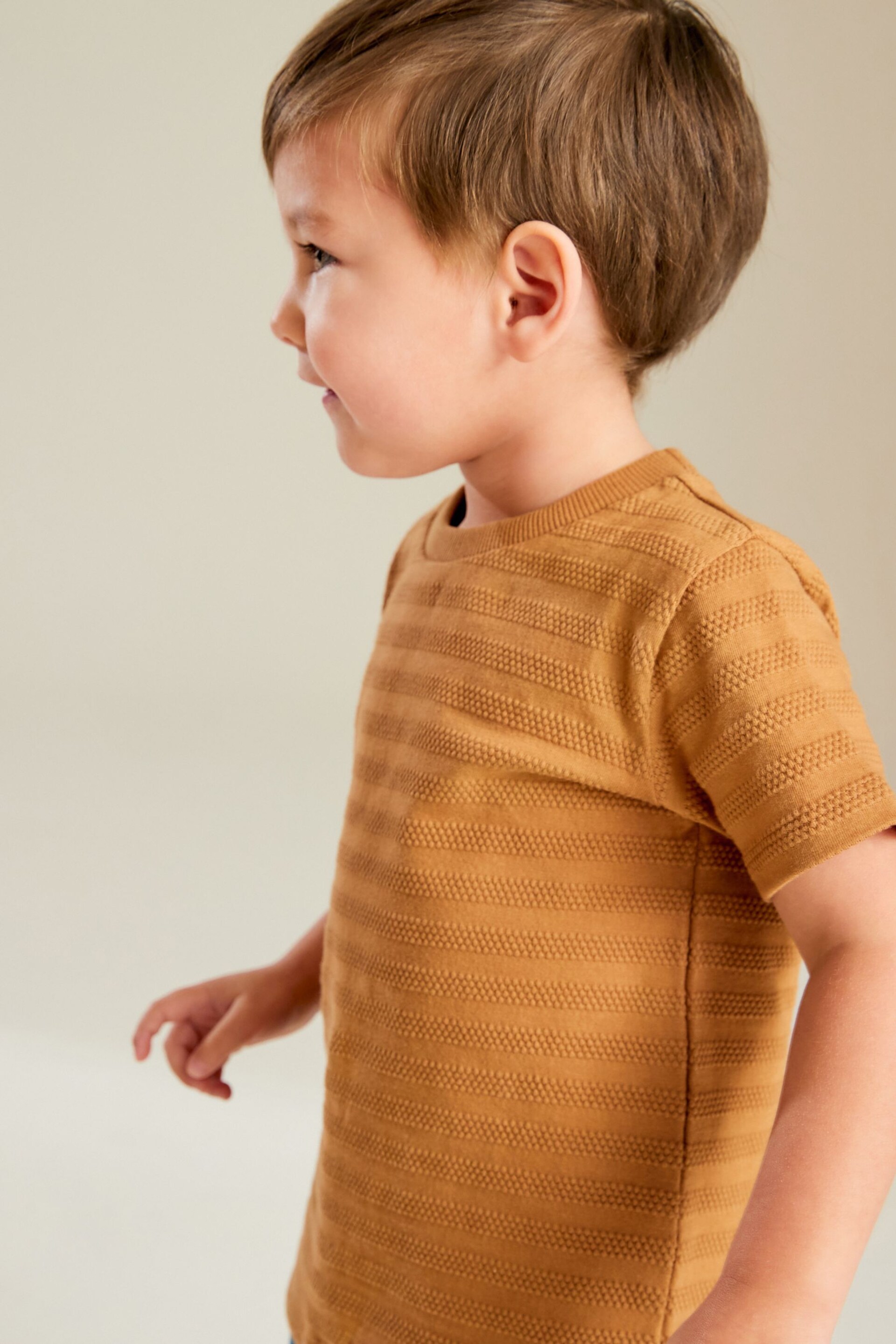 Blue/Tan Textured Short Sleeve T-Shirt 4 Pack (3mths-7yrs) - Image 3 of 9