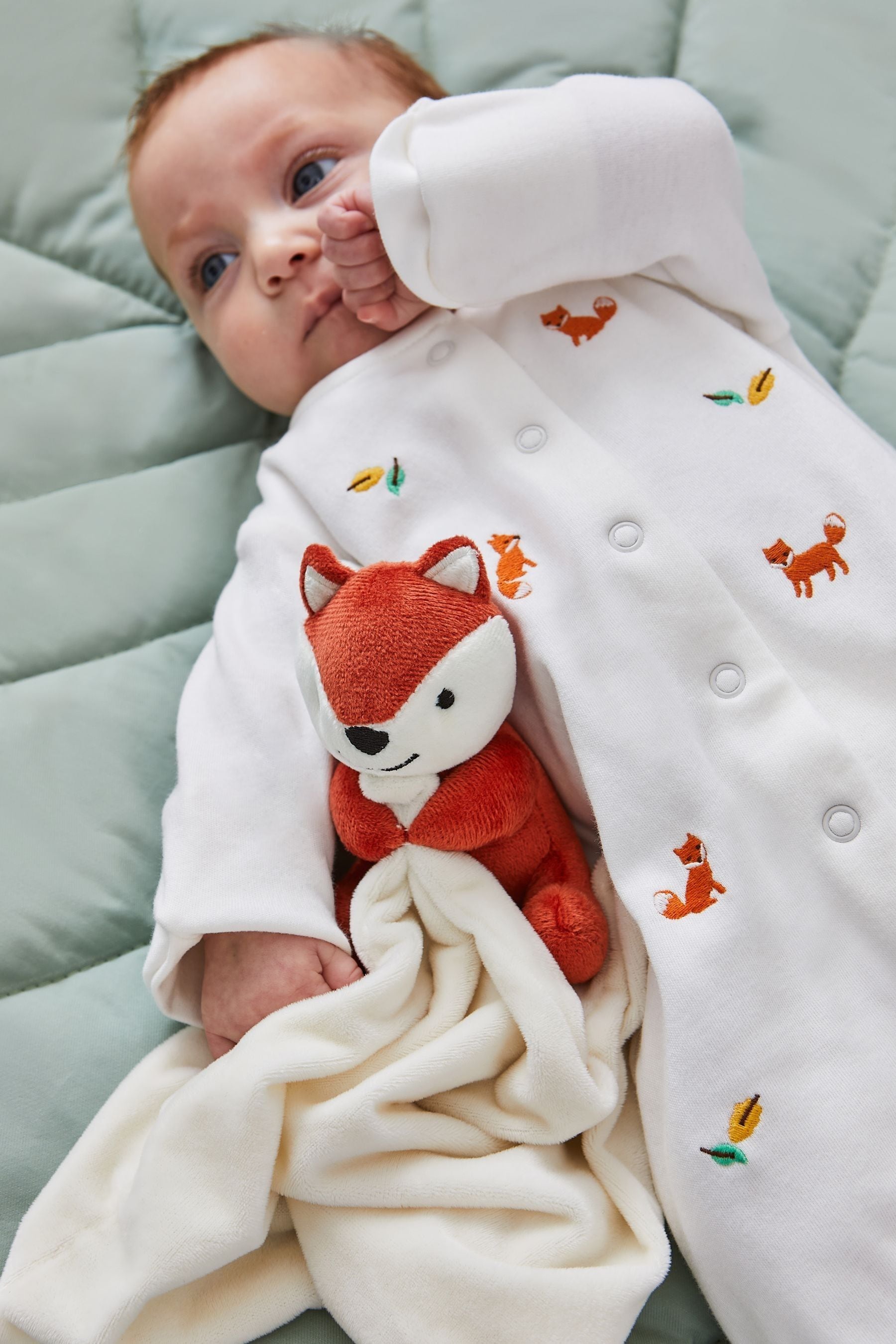Buy JoJo Maman Bebe Plush Fox Comforter from Next Luxembourg
