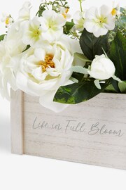 White Artificial White Blooms In Windowbox - Image 4 of 4