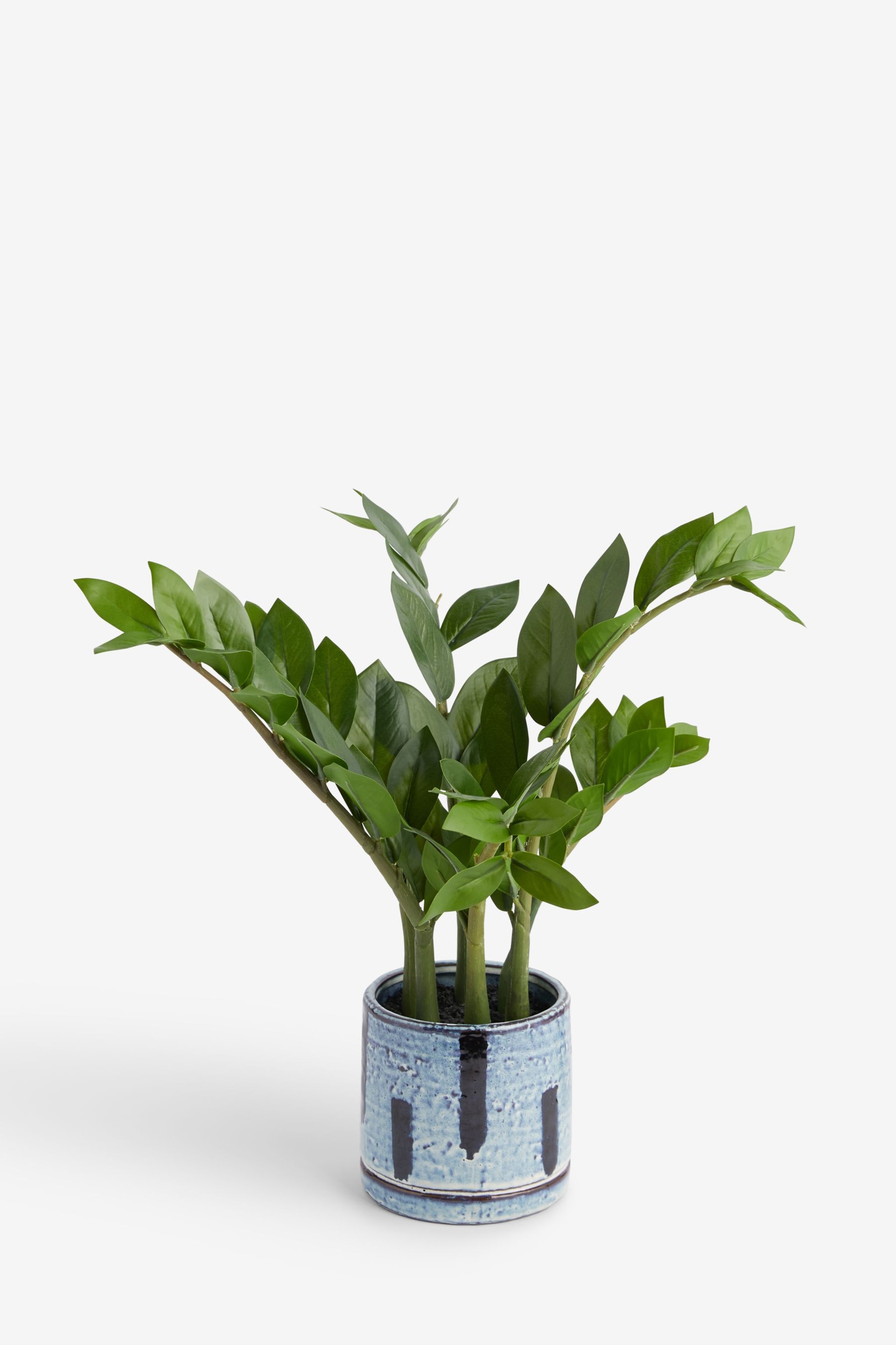 Green Artificial Rubber Plant In Monochrome Pot - Image 1 of 5