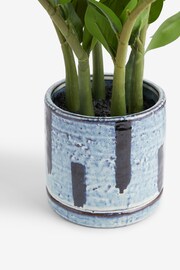 Green Artificial Rubber Plant In Monochrome Pot - Image 4 of 5