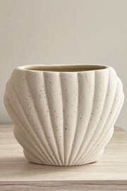 Natural Shell Toothbrush Tidy - Image 1 of 4