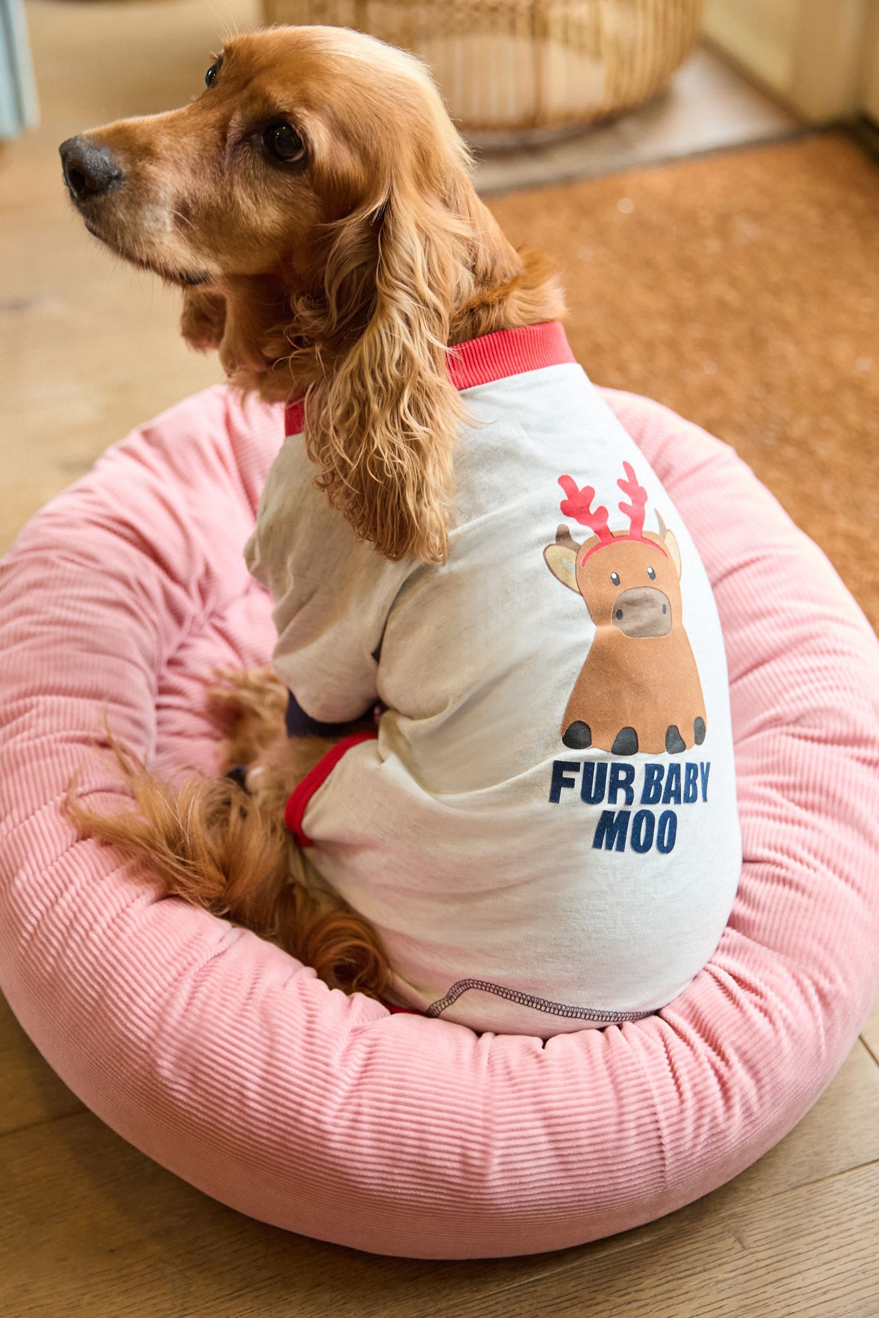 NEXT Hamish The Highland Cow Pet Pyjamas Medium Adult