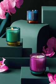 Teal Blue Set Of Dark Orchid and Patchouli Scented Candle - Image 3 of 4