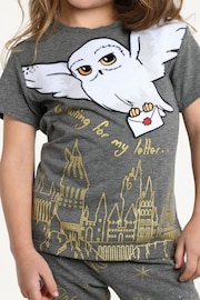 Brand Threads Grey Harry Potter Hedwig Girls Pyjama Set - Image 3 of 7