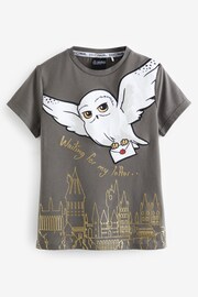 Brand Threads Grey Harry Potter Hedwig Girls Pyjama Set - Image 7 of 7