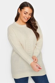 Yours Curve Cream Essential Jumper - Image 1 of 4