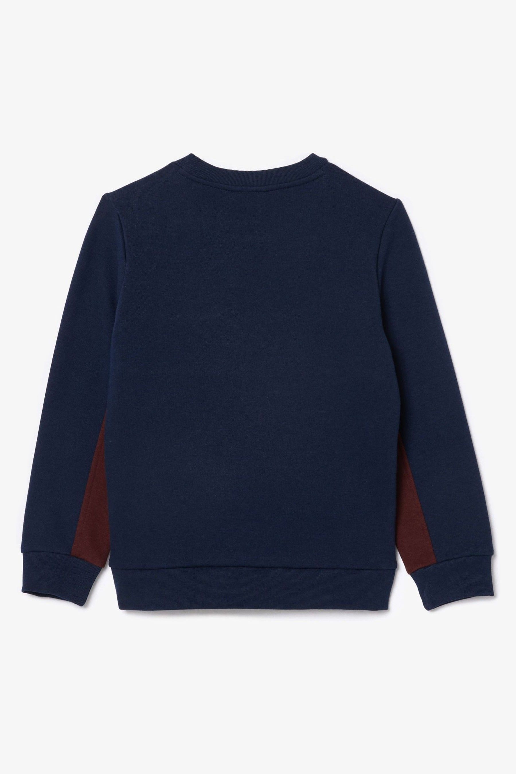 Buy Lacoste Blue Colour Block Sweatshirt from Next Luxembourg