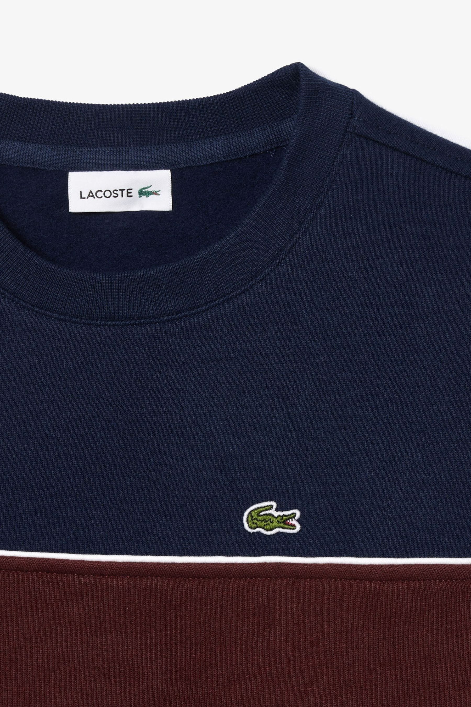 Buy Lacoste Blue Colour Block Sweatshirt from Next Luxembourg