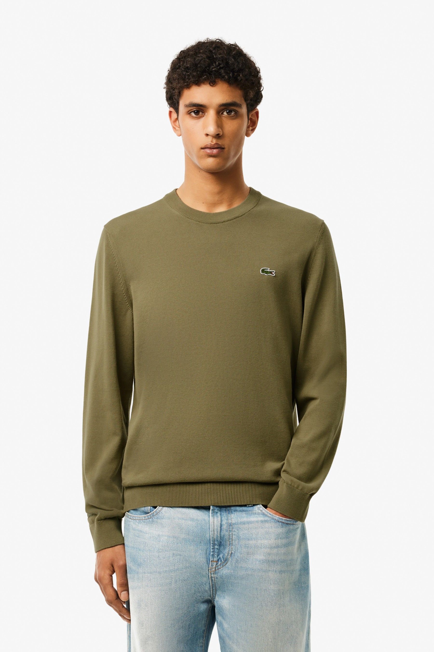 Buy Lacoste Crew Neck 100 Cotton Jersey Jumper from Next Luxembourg