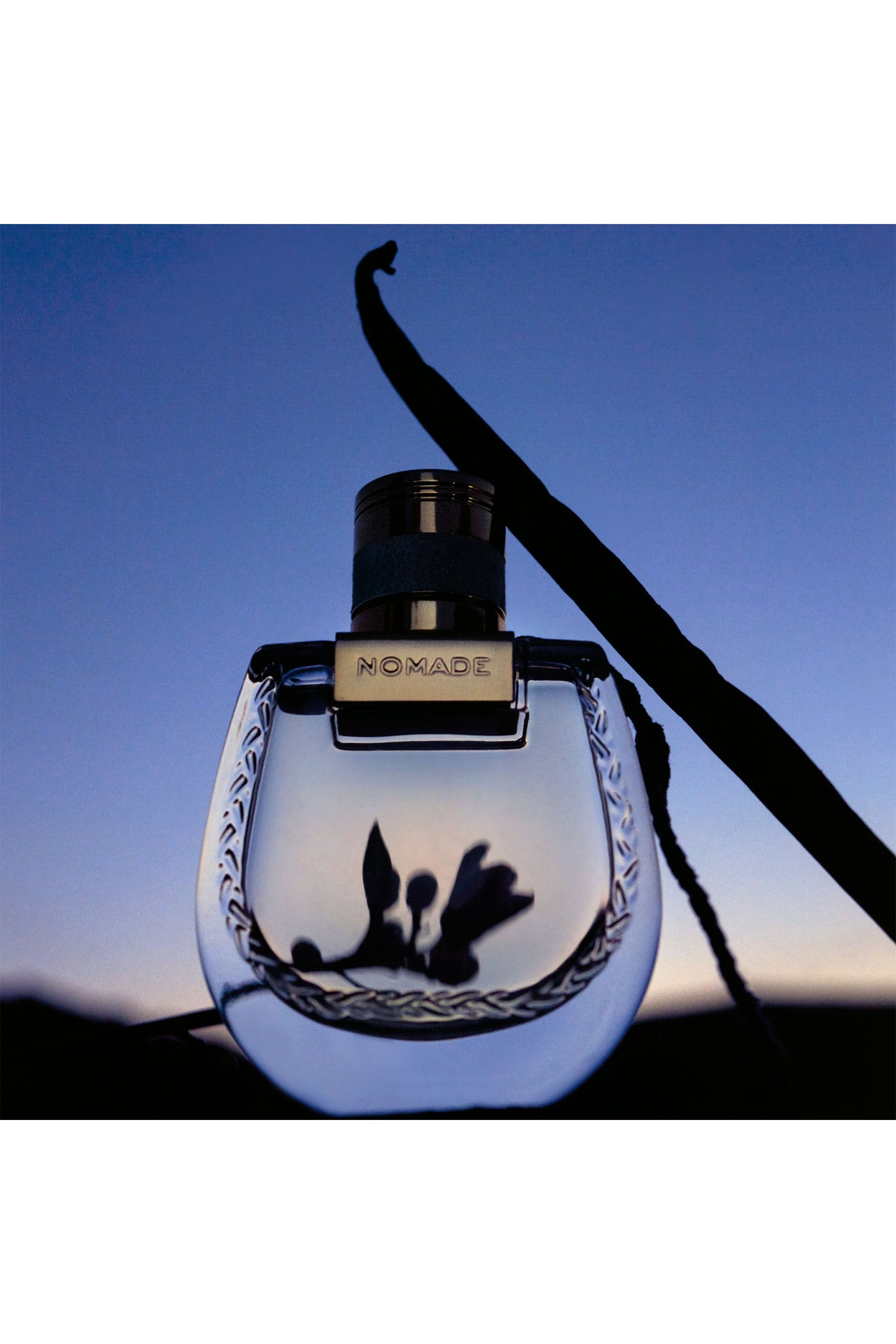 Buy Chloe Nomade Nuit d Egypte Eau de Parfum for Women 30ml from Next Ireland