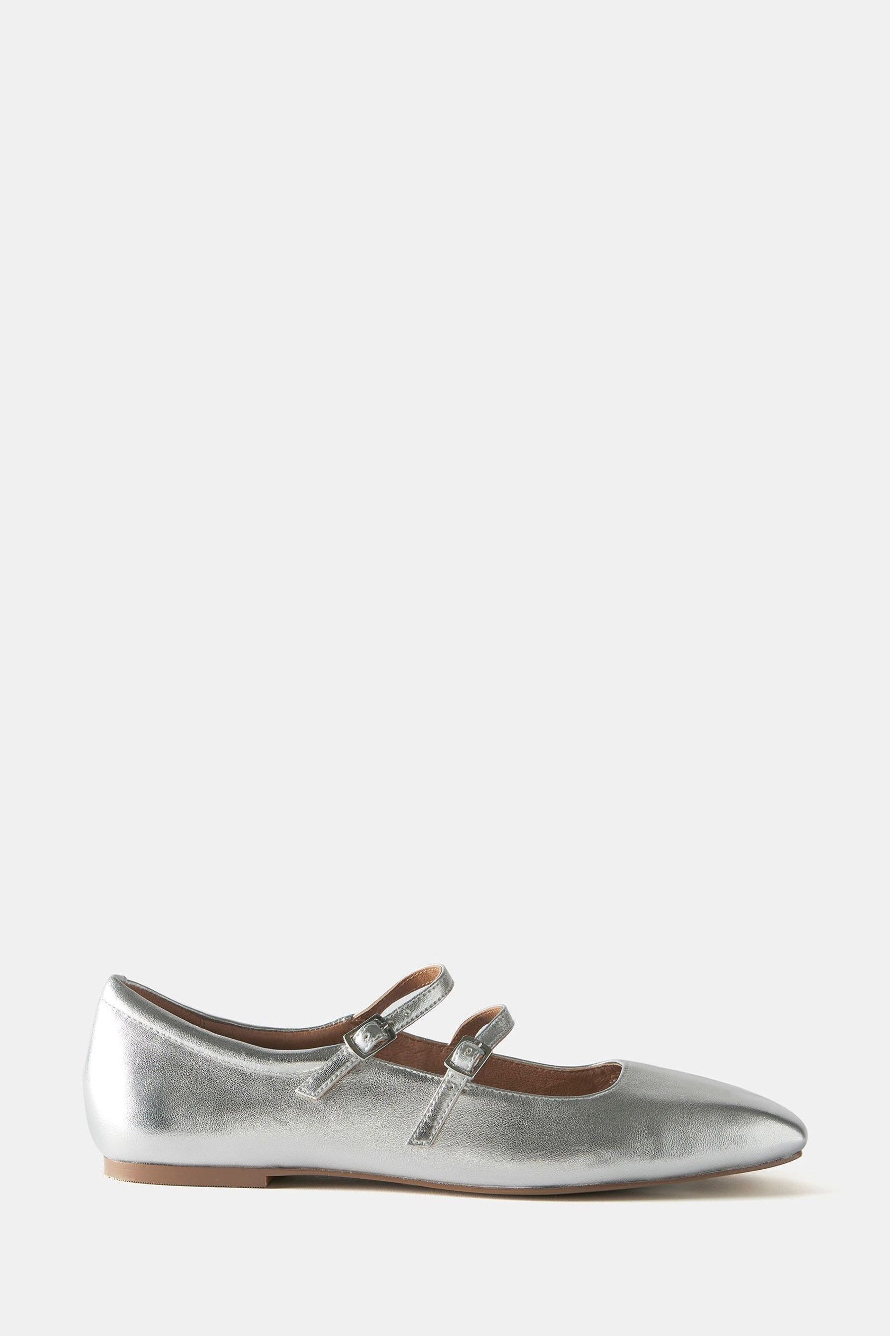Buy Mint Velvet Silver Ballet Pumps from Next USA