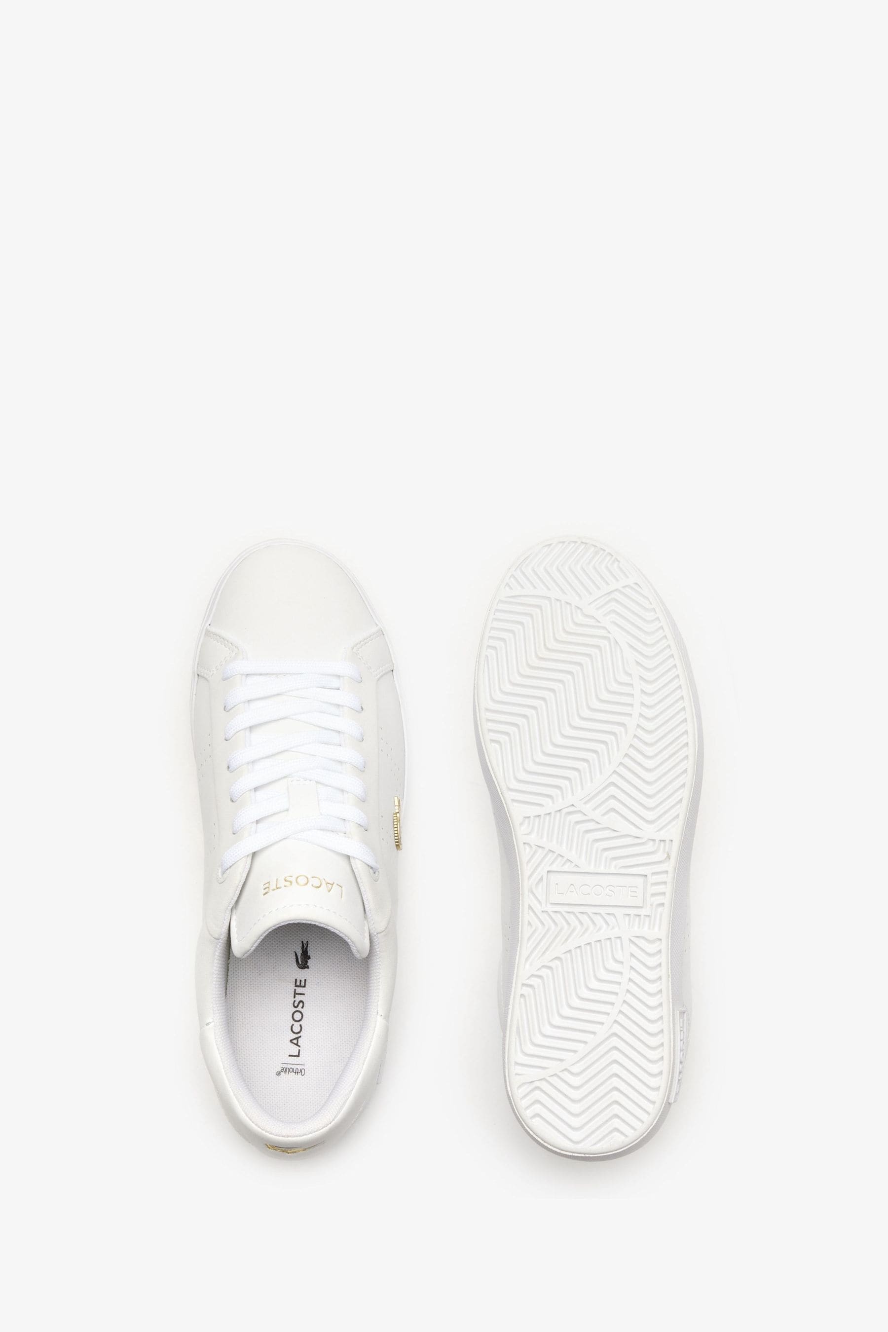 Lacoste gold trainers new arrivals