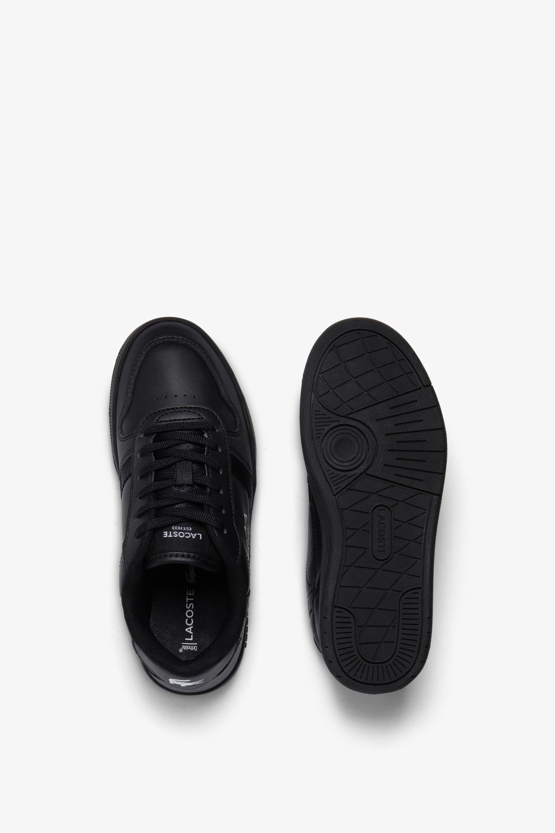Lacoste shoe laces shop