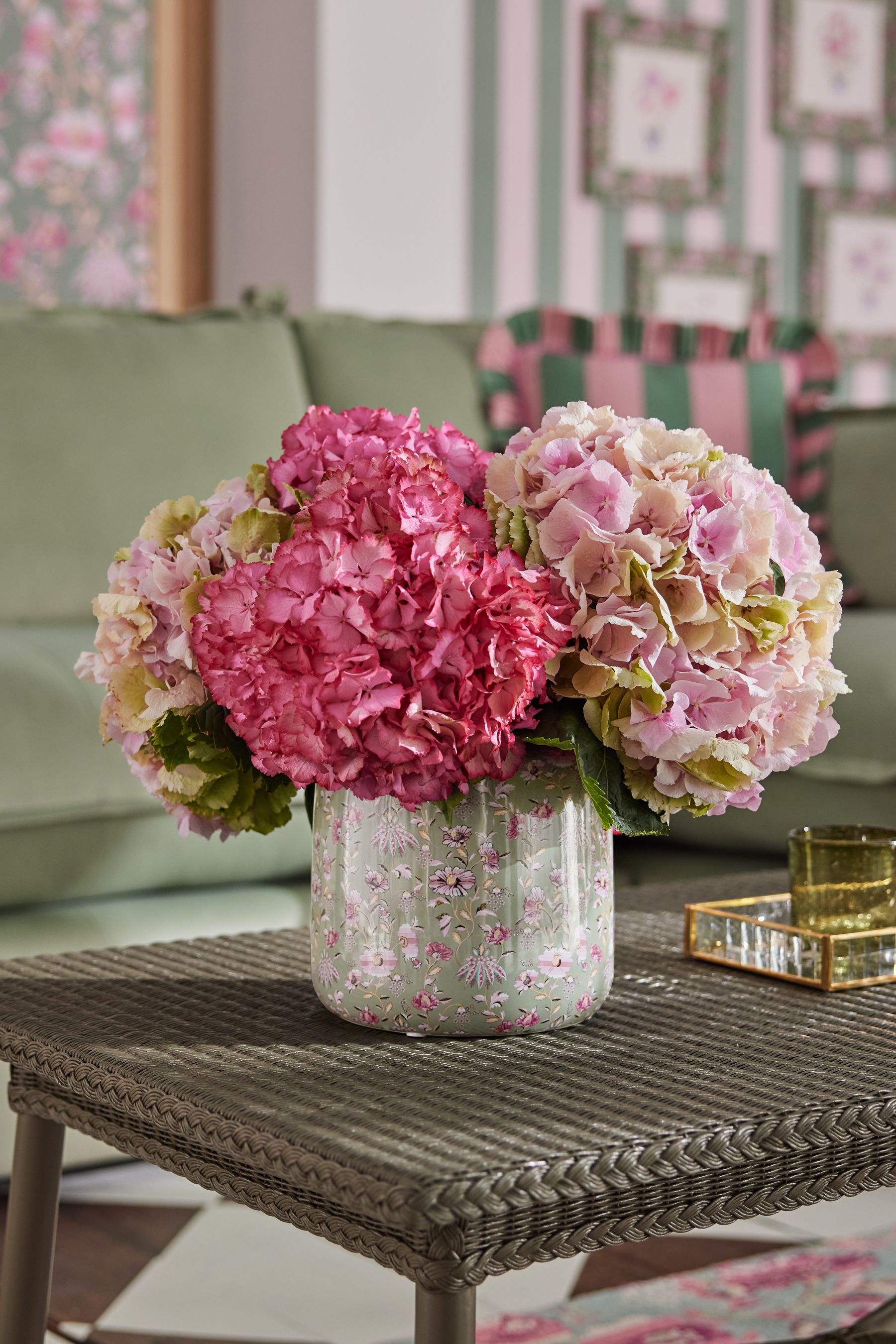 Cath kidston hydrangea cheap