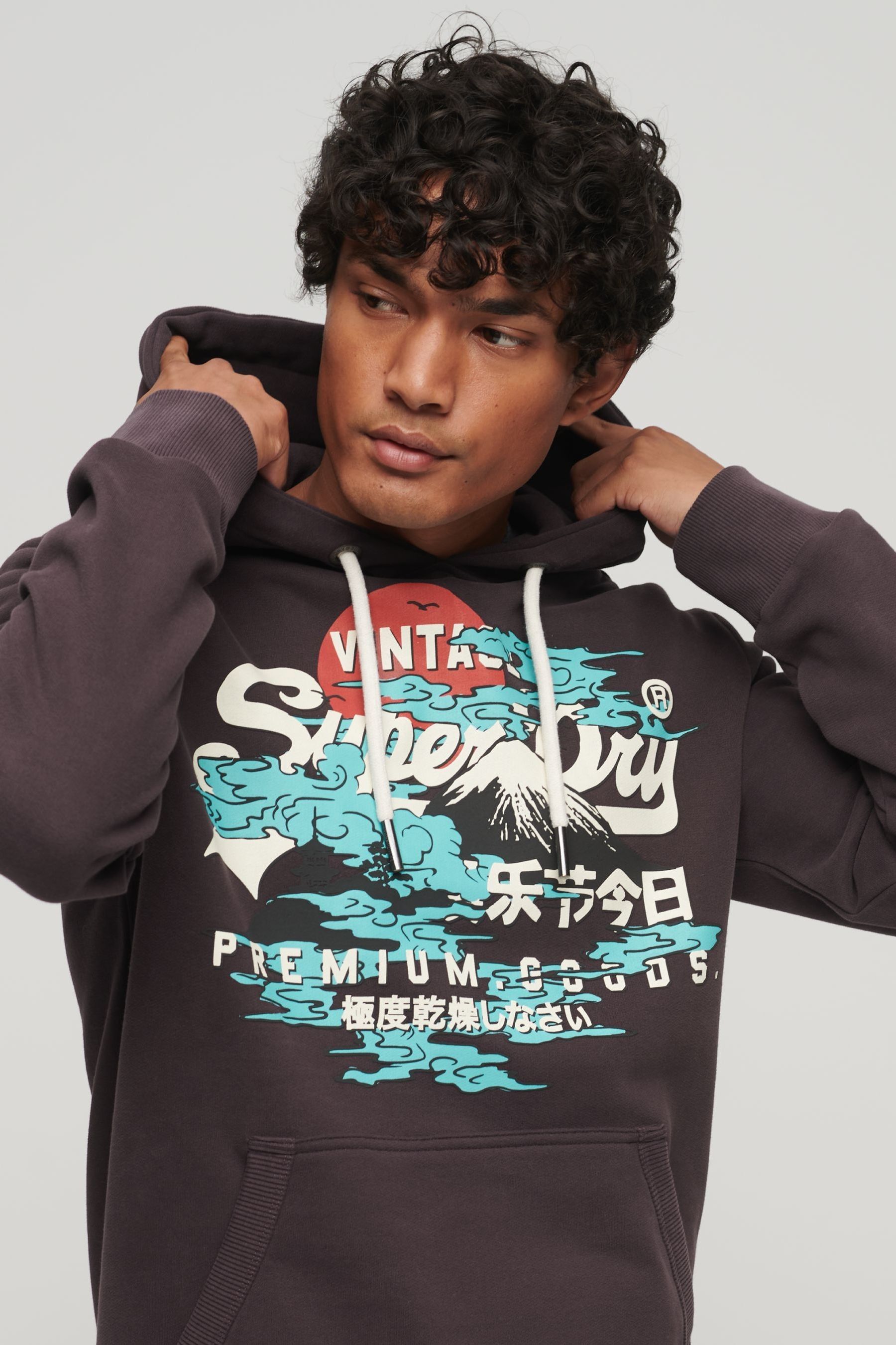 Buy Superdry Purple Japanese Vintage Logo Graphic Hoodie from Next Qatar