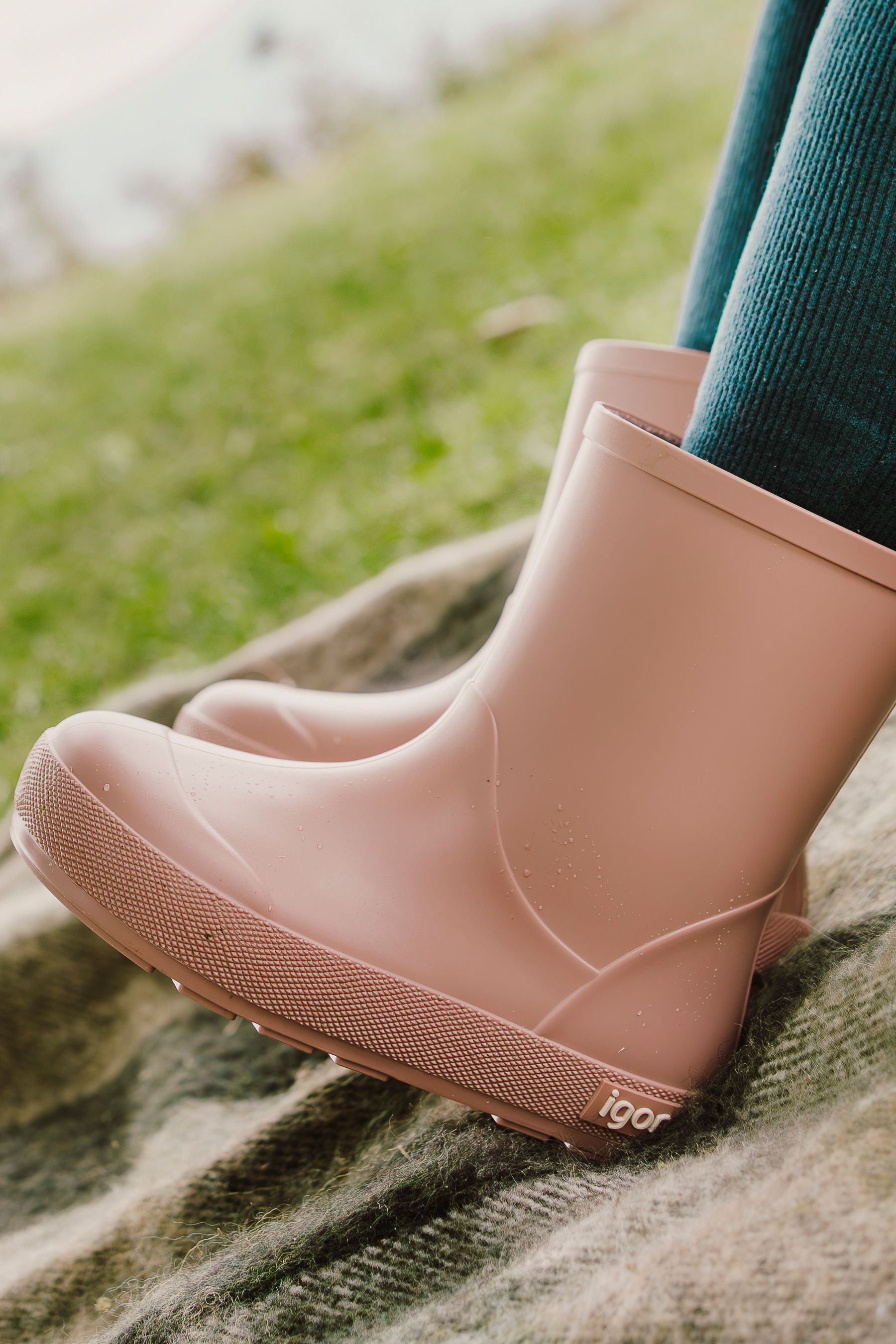 Buy Igor Waterproof Yogi Wellies from the Next UK online shop