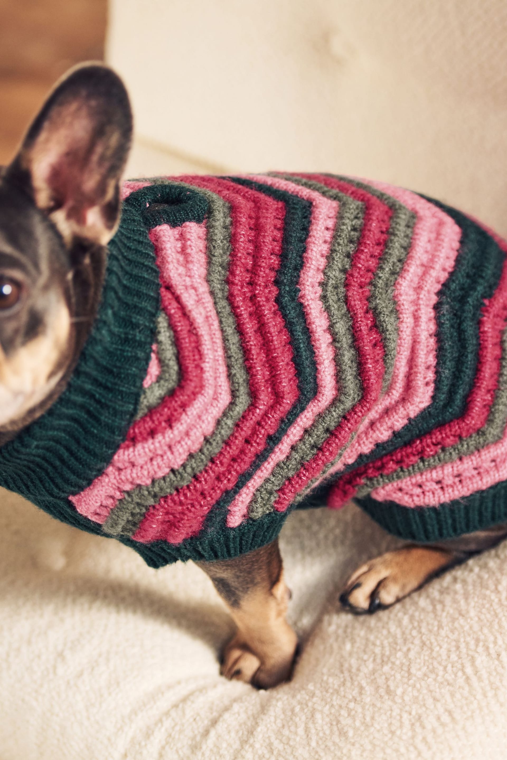 Pink/Green Bright Stripe Dog Jumper - Image 4 of 4