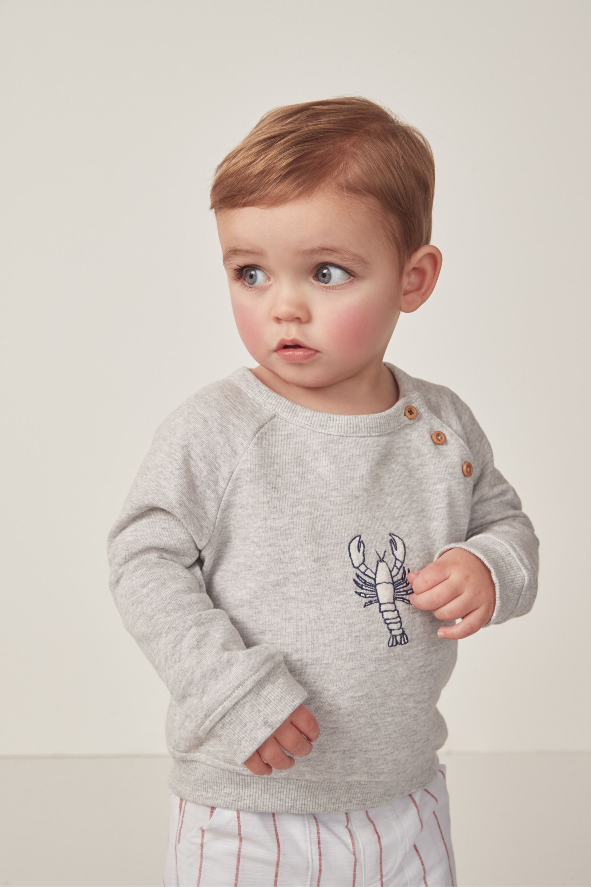 The White Company Grey Cotton Lobster Sweatshirt - Image 4 of 7