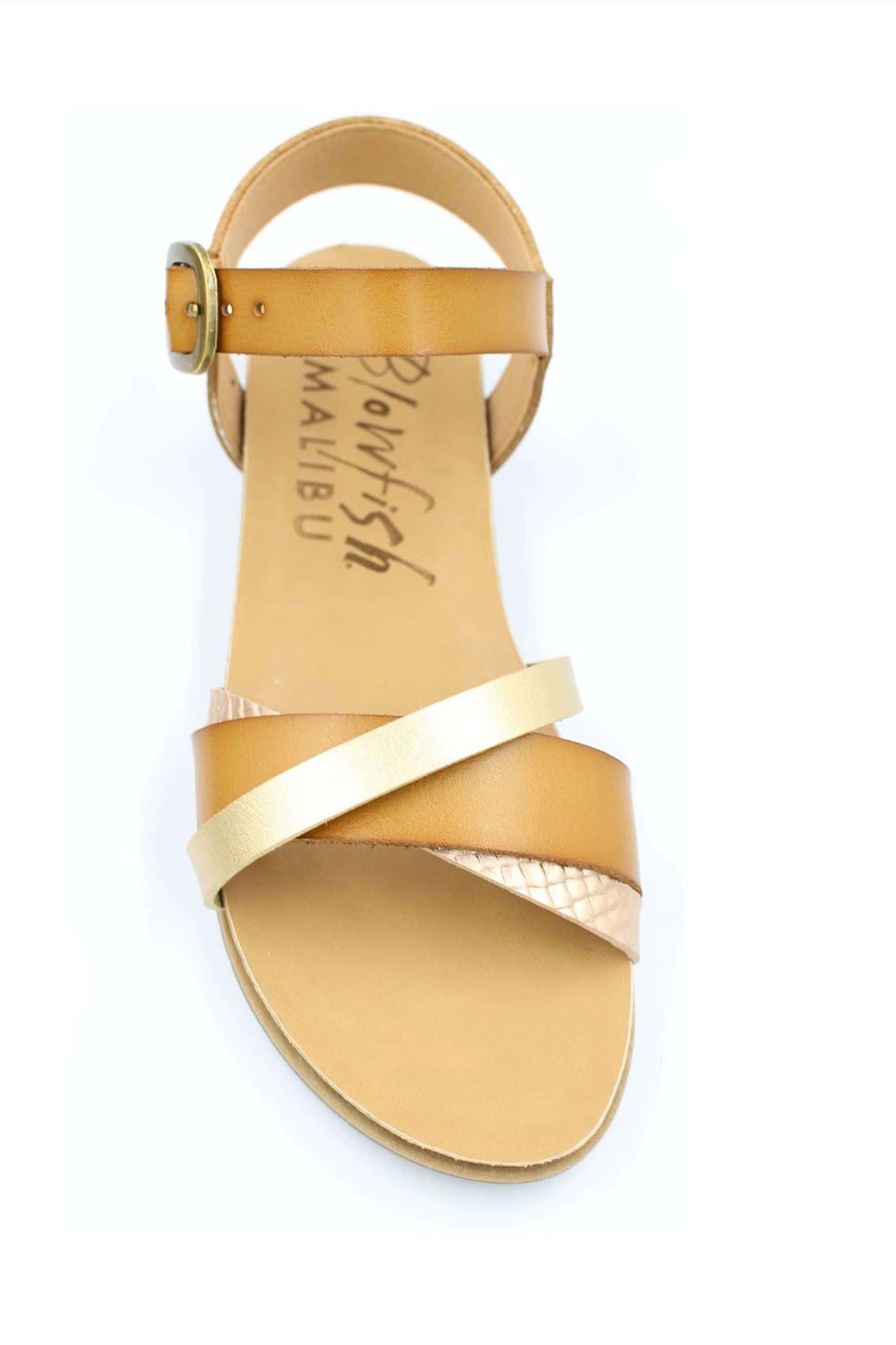 Buy Blowfish Malibu Women s Monti B Bee Honey Sandals from Next Australia