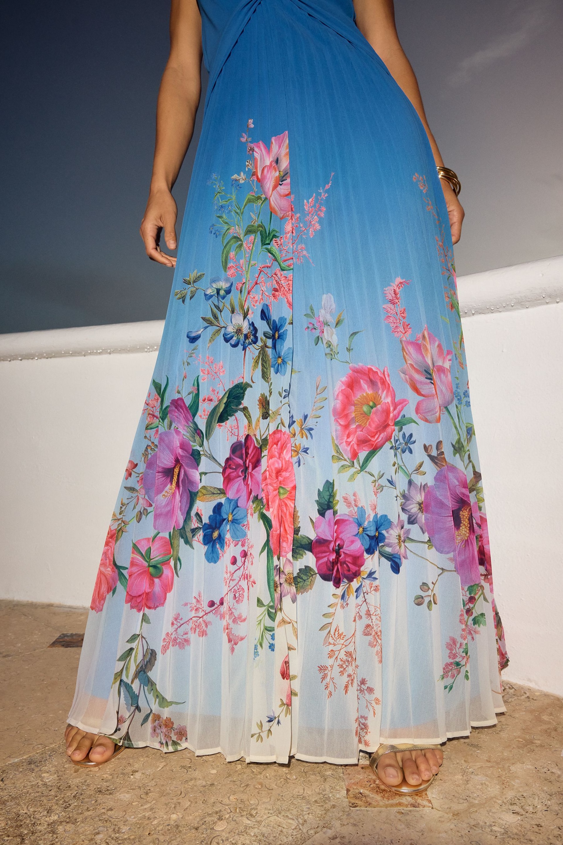 V&A | Love & Roses Blue Floral Placement Halterneck Plunge Dress - Image 2 of 4