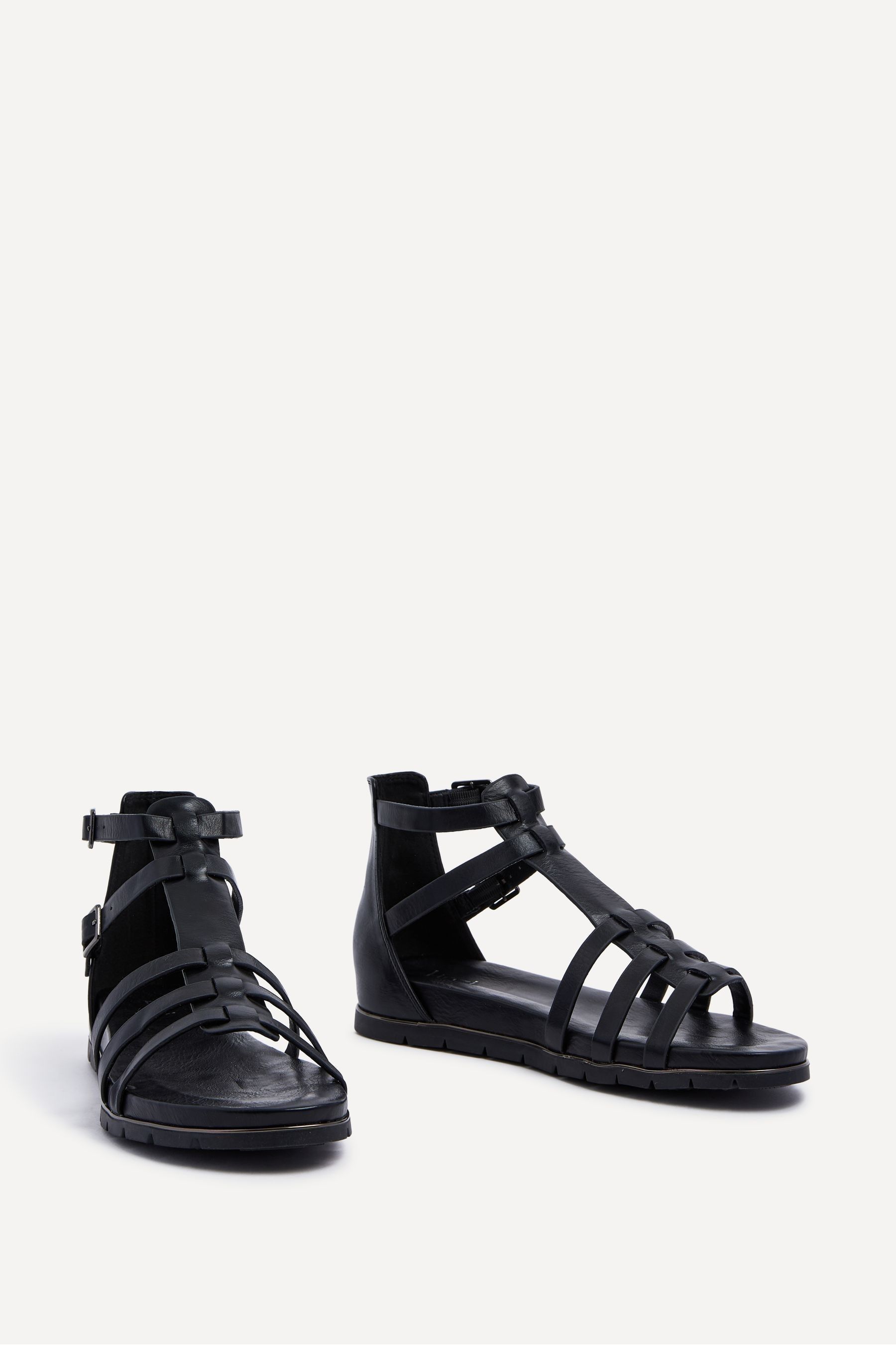 Buy Linzi Black Tour Closed Back Gladiator Style Sandals from Next Ireland
