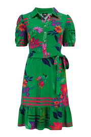 Pour Moi Green Jodie Fuller Bust Slinky Jersey Tiered Shirt Dress - Image 3 of 4