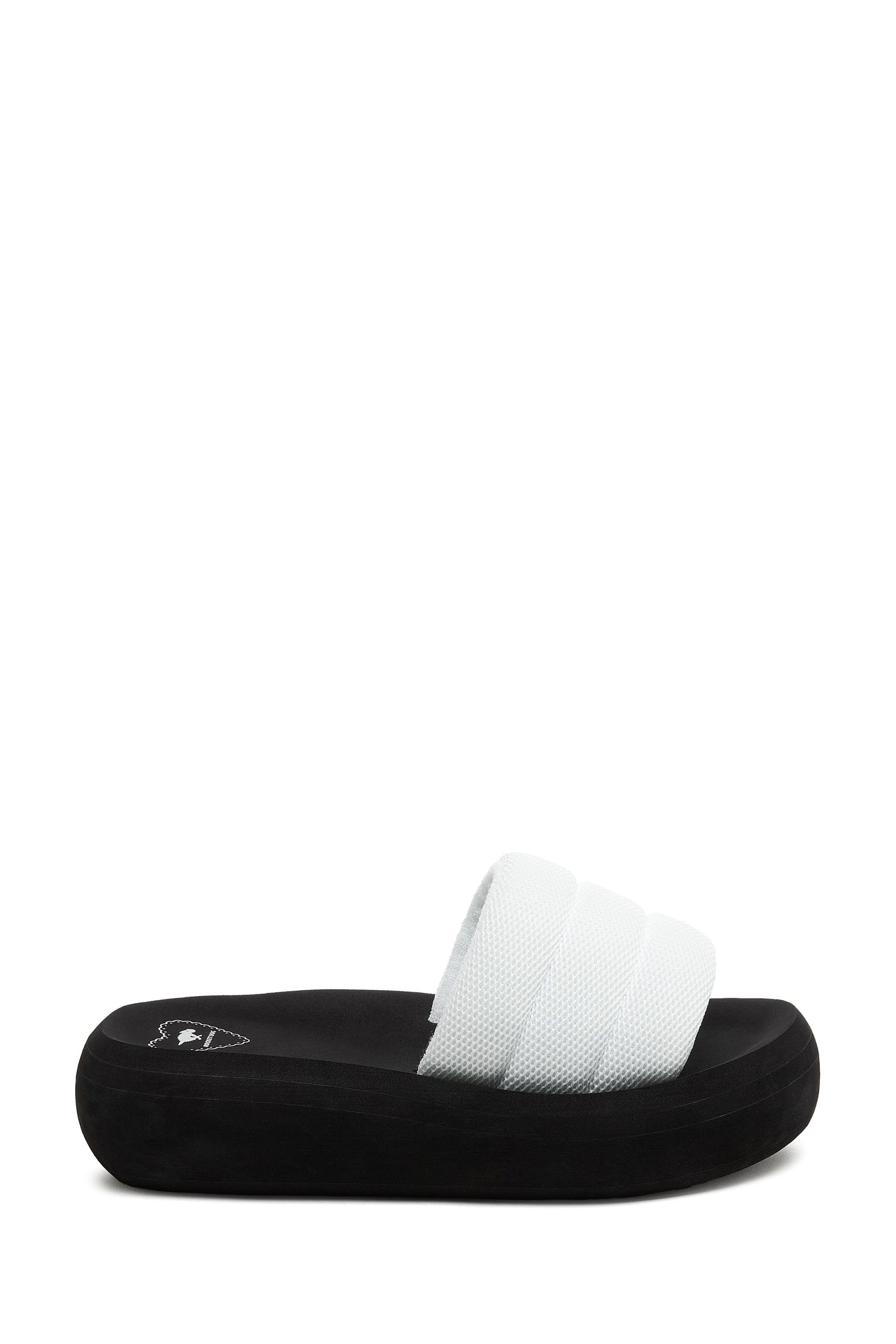 Buy Rocket Dog Splash Jones Mesh Fabric Flip Flops from Next Luxembourg