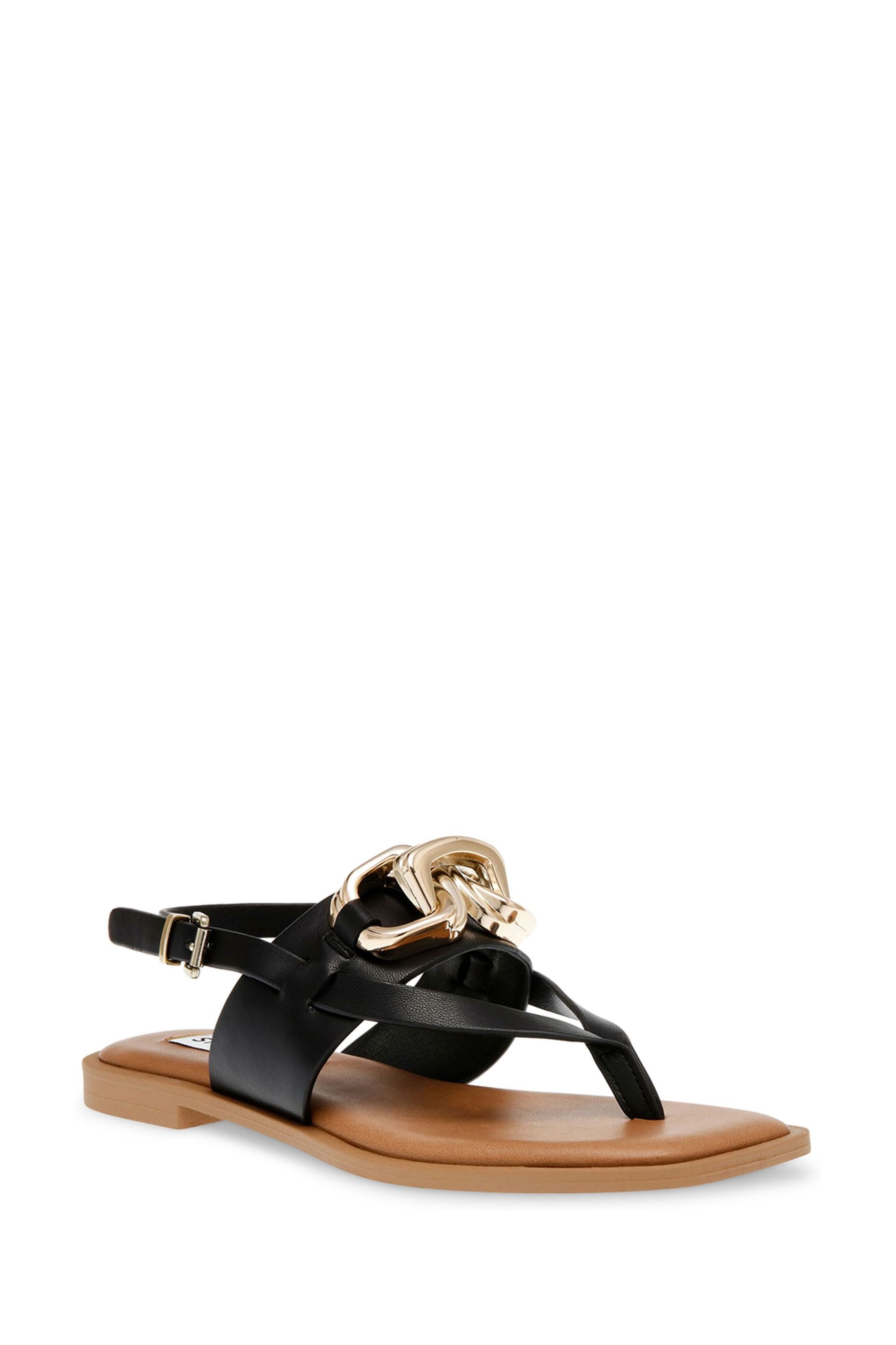 Steve madden island sandals sale