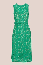 Adrianna Papell Green Lace Midi Dress - Image 5 of 7